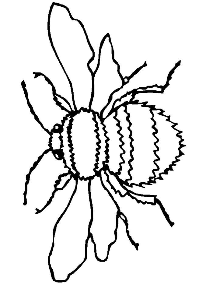 Hướng dẫn cách vẽ con ong đơn giản cho bé yêu phát triển tư duy