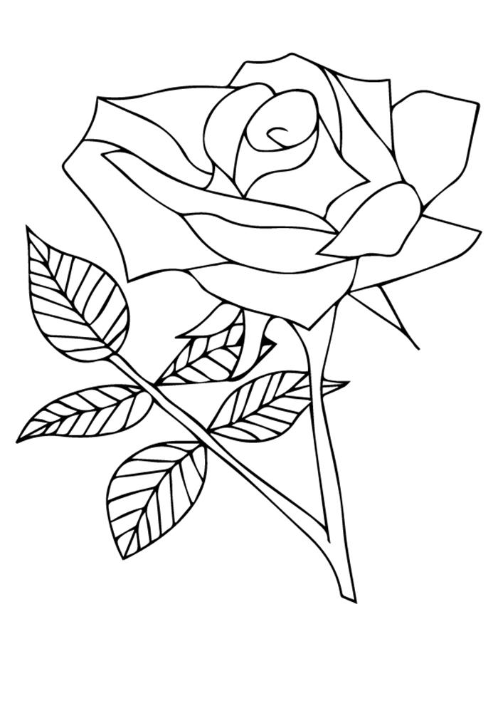 39 Tranh tô màu hoa hồng đẹp ý nghĩa tặng bé yêu
